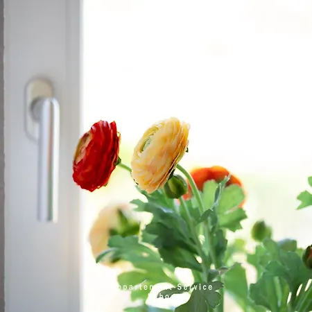 Dom wakacyjny Nord 54 Grad *